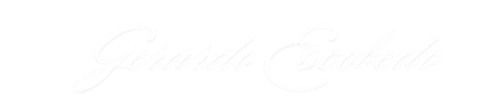 This image has an empty alt attribute; its file name is White-Logo-500-x-100-px-1.png