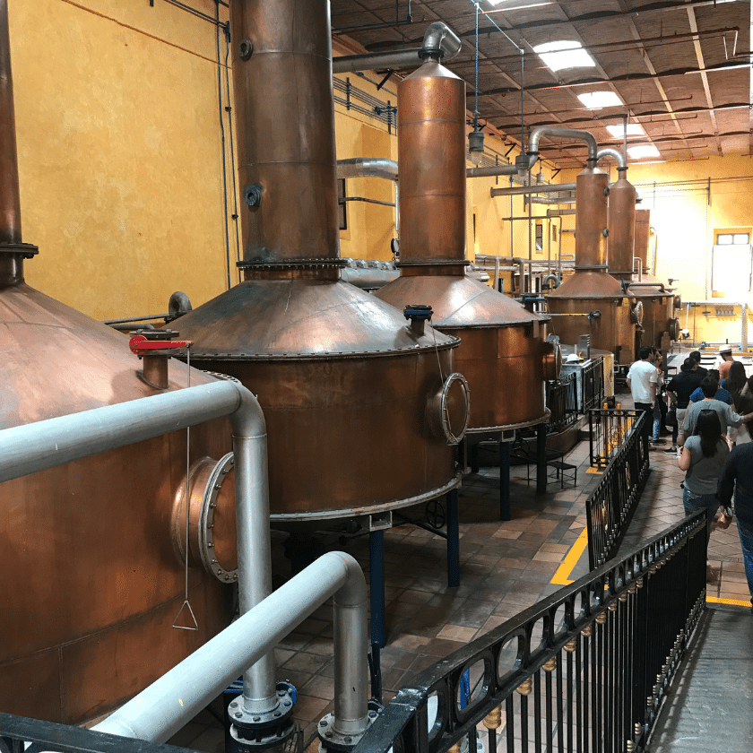 Tequila Distillery Tequila distillery.