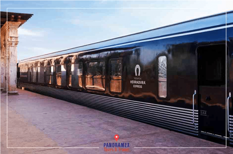 Herradura Express Train Ride